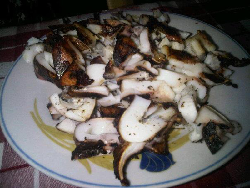 Grilled Squid